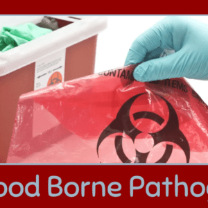 Online BBP Course