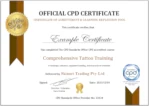 Example Skinart tattoo training certificate