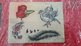 Roses, bird and feather tattoo exercises on synthetic skin