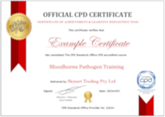Example Skinart bloodborne pathogen training certificate